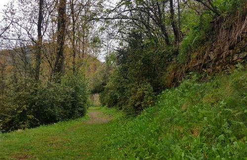 Les Forques de'n Pep - Foto 37