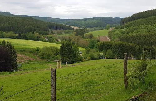 Ferienwohnung Müller - Foto 14