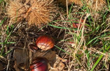 La Vieille Maison aux Canards - Foto 59