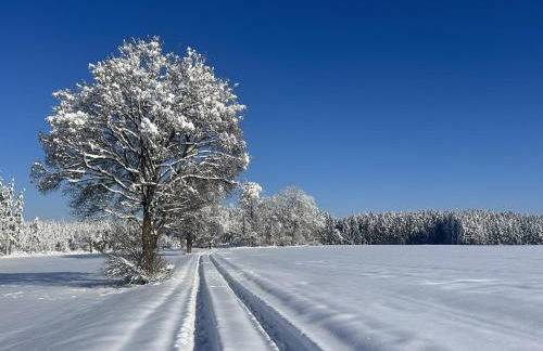 Ferienwohnung Kleines Paradies mit privater Sauna - Foto 26