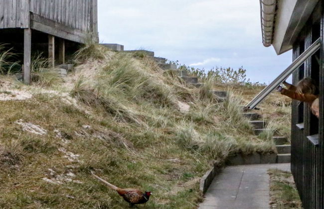 "Hansina" - 500m from the sea - Foto 18