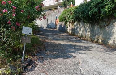 Ilgattonero - Foto 37