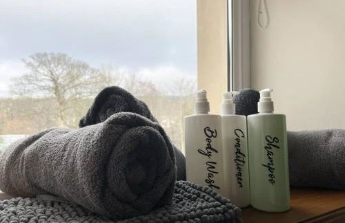 Rose Cottage Trecynon Traditional 2 bed cottage Zip World Beacons Bike - Photo 13