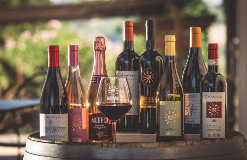 Fattoria Fibbiano - Foto 81