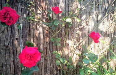 La Fremille T2 - 1br - 400m gare Versailles Paris - Piscine Terrasse Parking - Foto 23