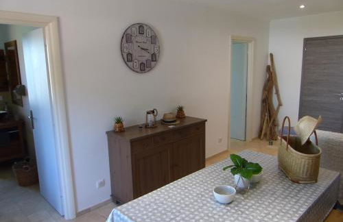 Vigne et cigale - Foto 11