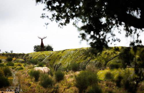 Herdade da Rocha - Boutique Lodge - Foto 45