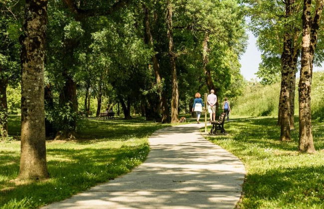 Relaxing Garden Retreat in Dax - Foto 20