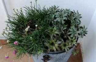 Apartment Meli Varazdin - Foto 39