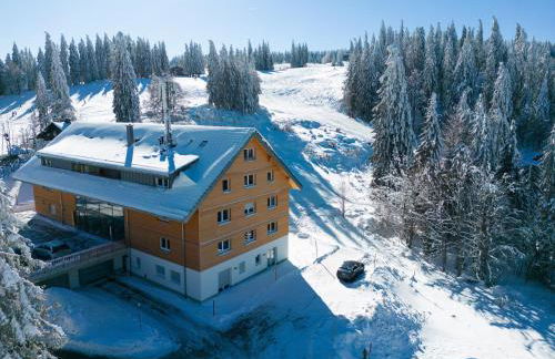 Ferienwohnung Passhöhe - Familien- Wander- und Skiurlaub - Hochschwarzwaldcard - Haus Wiesenquelle - Photo 42