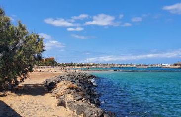 Sunset Paradise - Photo 30