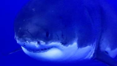 Appartement de 100m² bien situé - Foto 2