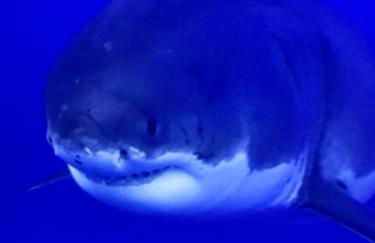 Appartement de 100m² bien situé - Foto 2