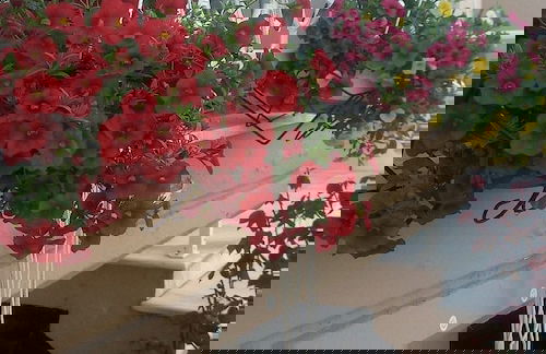 Hotel La Strada - Foto 53