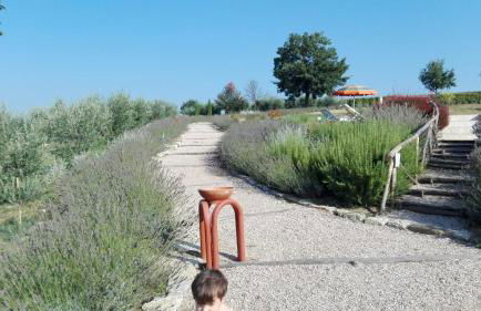 Agriturismo San Silvestro - Foto 57