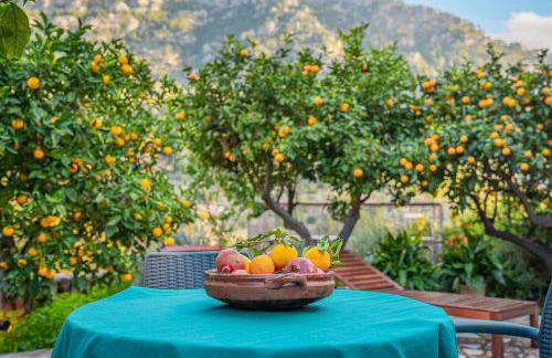 Se Teulere - Foto 23