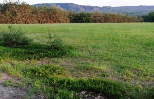 Gemütliches Ferienhaus in Sebnitz - Photo 34