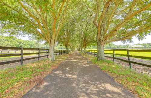 Idyllic Anthony Home Riding Arena with Mirror Wall! - Photo 27
