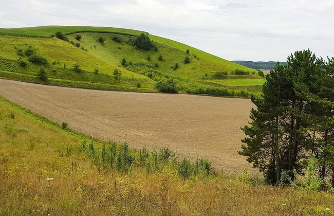 Apartment in Forges les Eaux With Garden - Foto 15