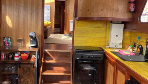 L'Amazone - bateau à quai sur le canal de bourgogne - Foto 5