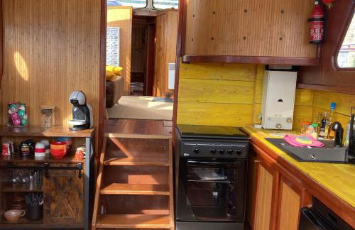 L'Amazone - bateau à quai sur le canal de bourgogne - Foto 5