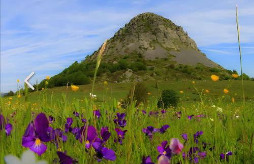 La Vallée De La Loire - Foto 2