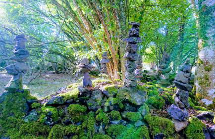 Gîte des Pierres Bleues - Foto 14