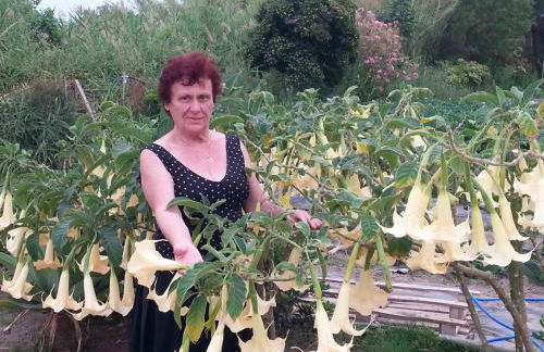 Baladinos Apartments - Foto 58