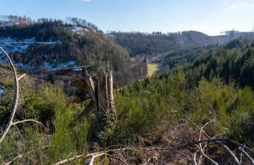 Ferienwohnung in Kierspe, Sauerland - Foto 43
