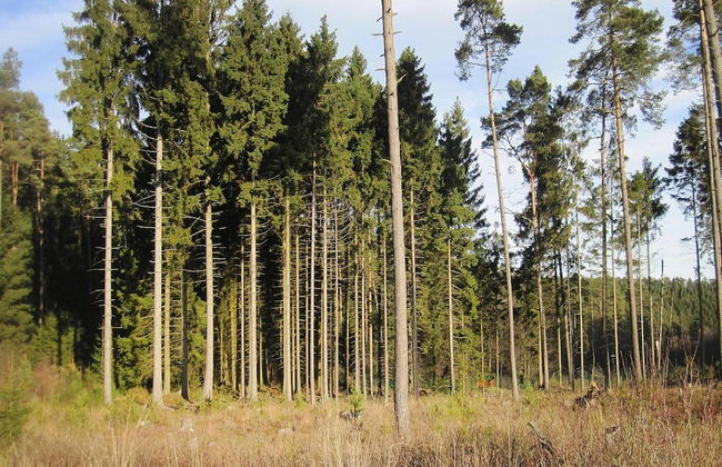 Apartments, Lissendorf - Foto 72