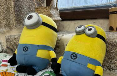 Aturuxo, Casa dos Mestres - Foto 32