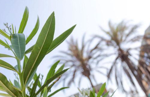 BAJO primera línea playa, Retamar, Cabo de Gata - Foto 55