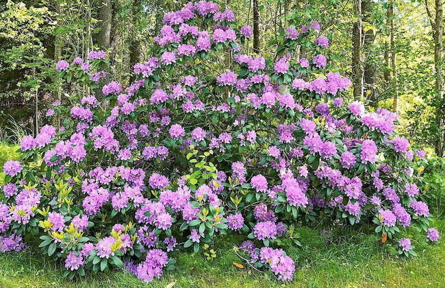 4 Person Holiday Home in Rimbo-by Traum - Photo 36