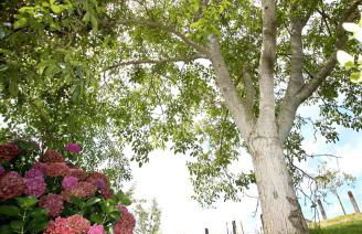 Vivienda Vacacional Supereda - Foto 20