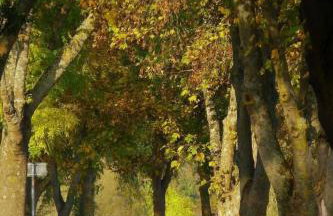 Apartment Haus Budinger by Interhome - Foto 17