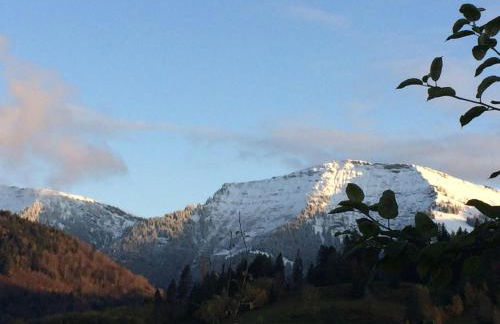 Ferienwohnung mit Aussicht im Bergdorf Steibis im Allgäu - Foto 24