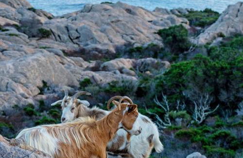 Dependance Pavoncella - Foto 41