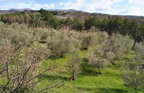 Casa Fioranna - Foto 37