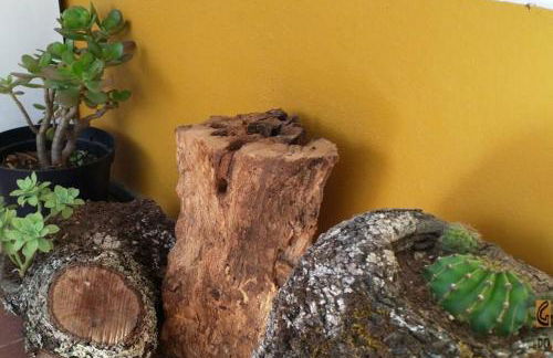 Gosto do Campo - Foto 19