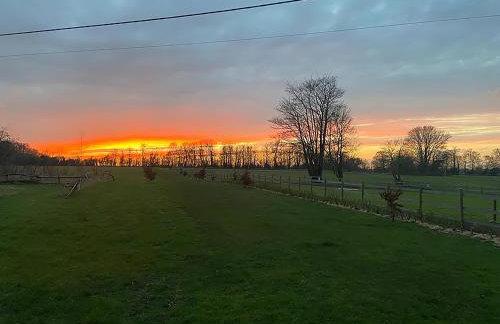 The Sunset Cabin - Photo 13