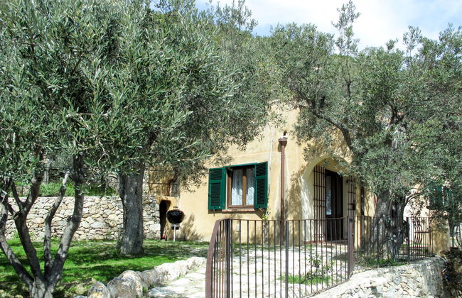 Francesca (VGO210) - Foto 12