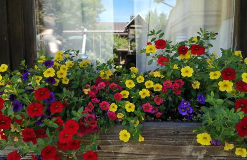 Heidi's Ferienwohnung2 - Foto 19