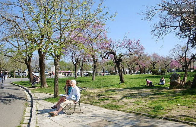 Cute Yellow Handmade House With Garden - Foto 31