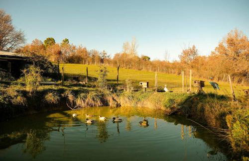 Homnest - Clairiere des Animaux - 1h de Toulouse - Photo 8