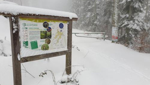 Au Pied du Gazon - Foto 4