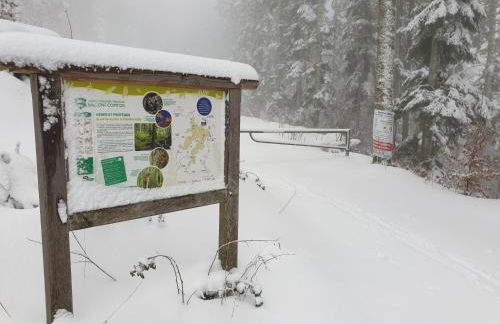 Au Pied du Gazon - Foto 4