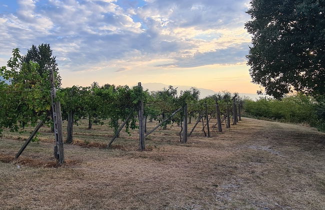 Casa il Cielo - Foto 30