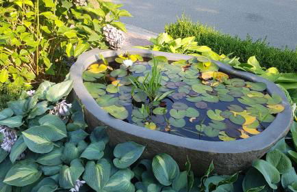 Stylisches Garden Cottage - Foto 20