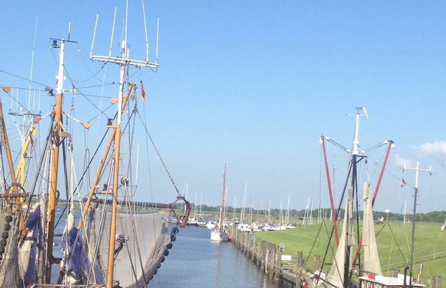 Alte Schule Greetsiel - Foto 35