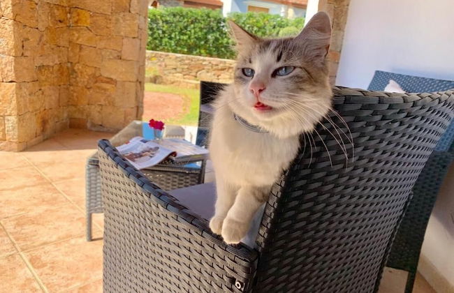 Residence Solaria - 1 - With Mini-pool - Foto 56